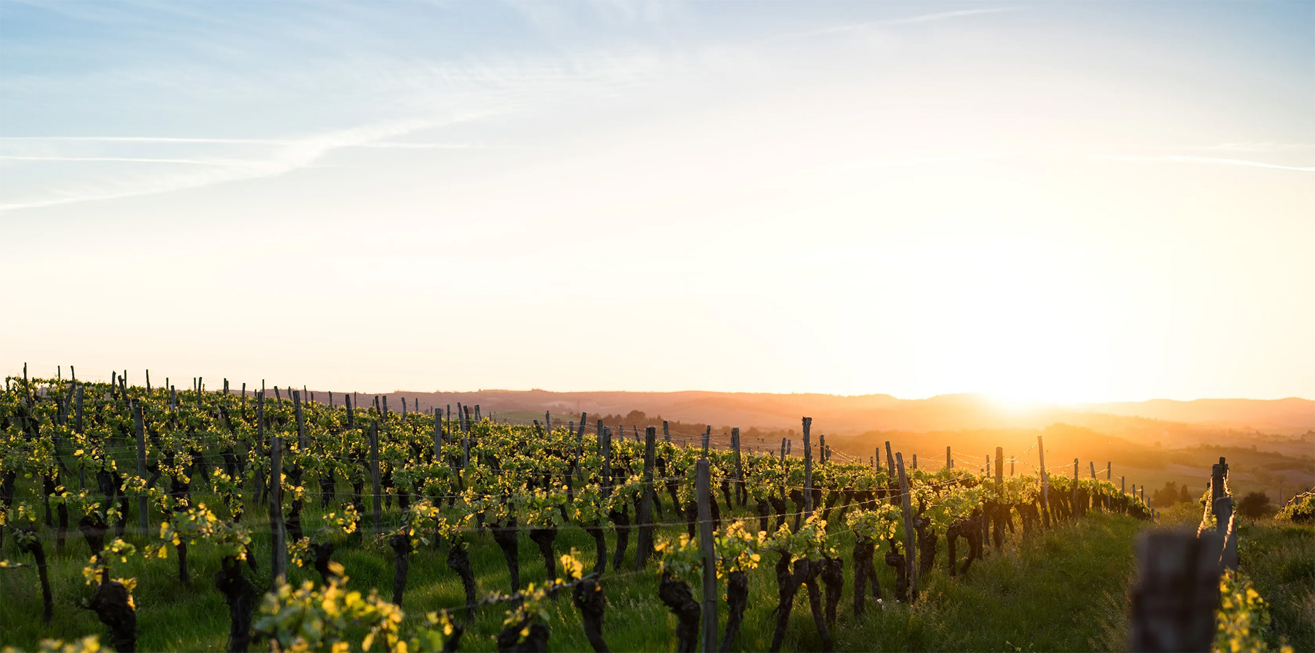 Pushpak Trike Tour & Tasting