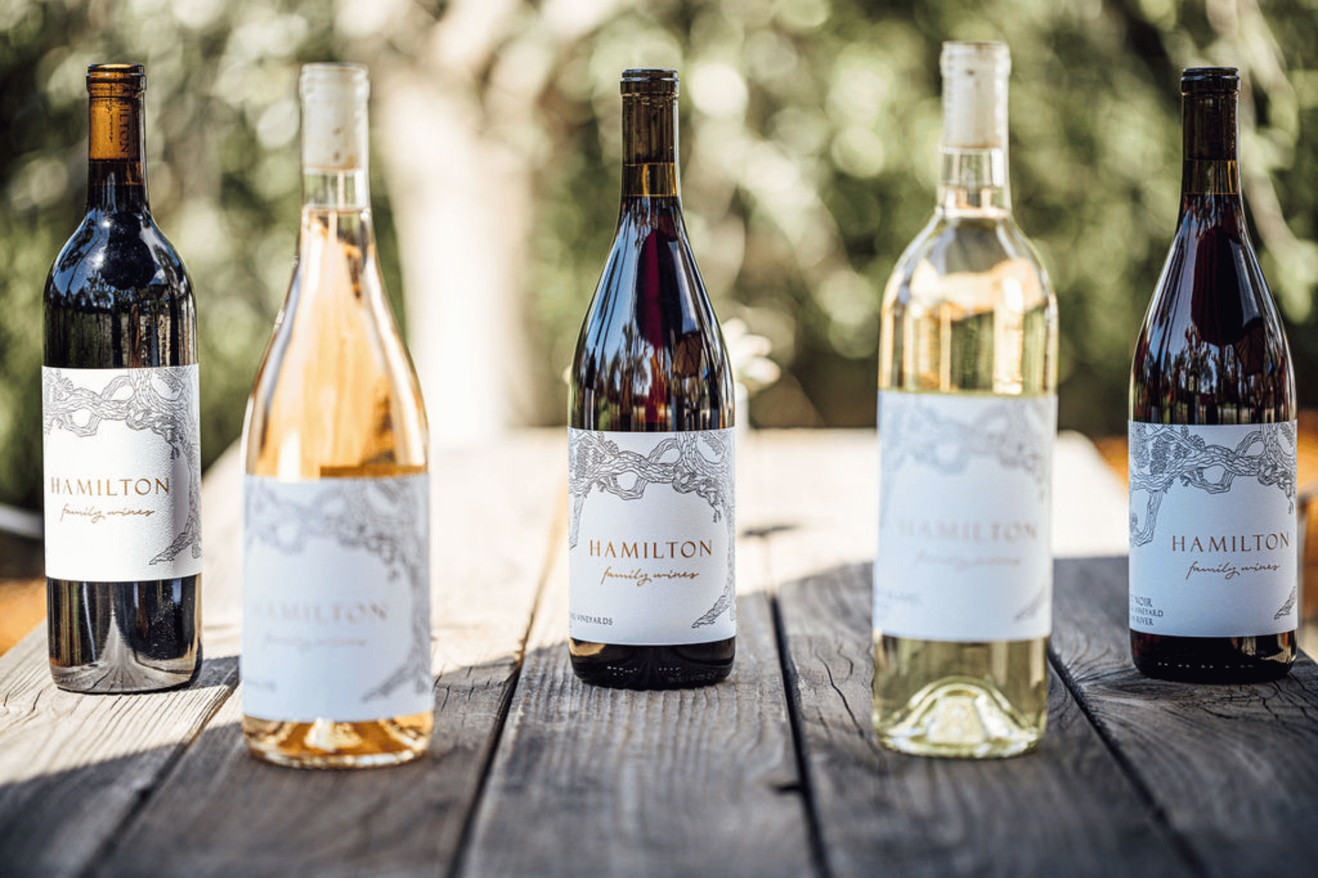 Table with five bottles of wine, and mix of red, white, and rosé