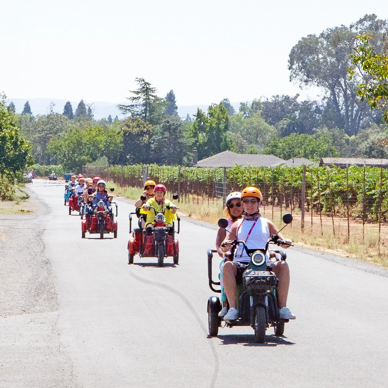 A group of guests riding electric trikes beside the vineyards in Kenwood