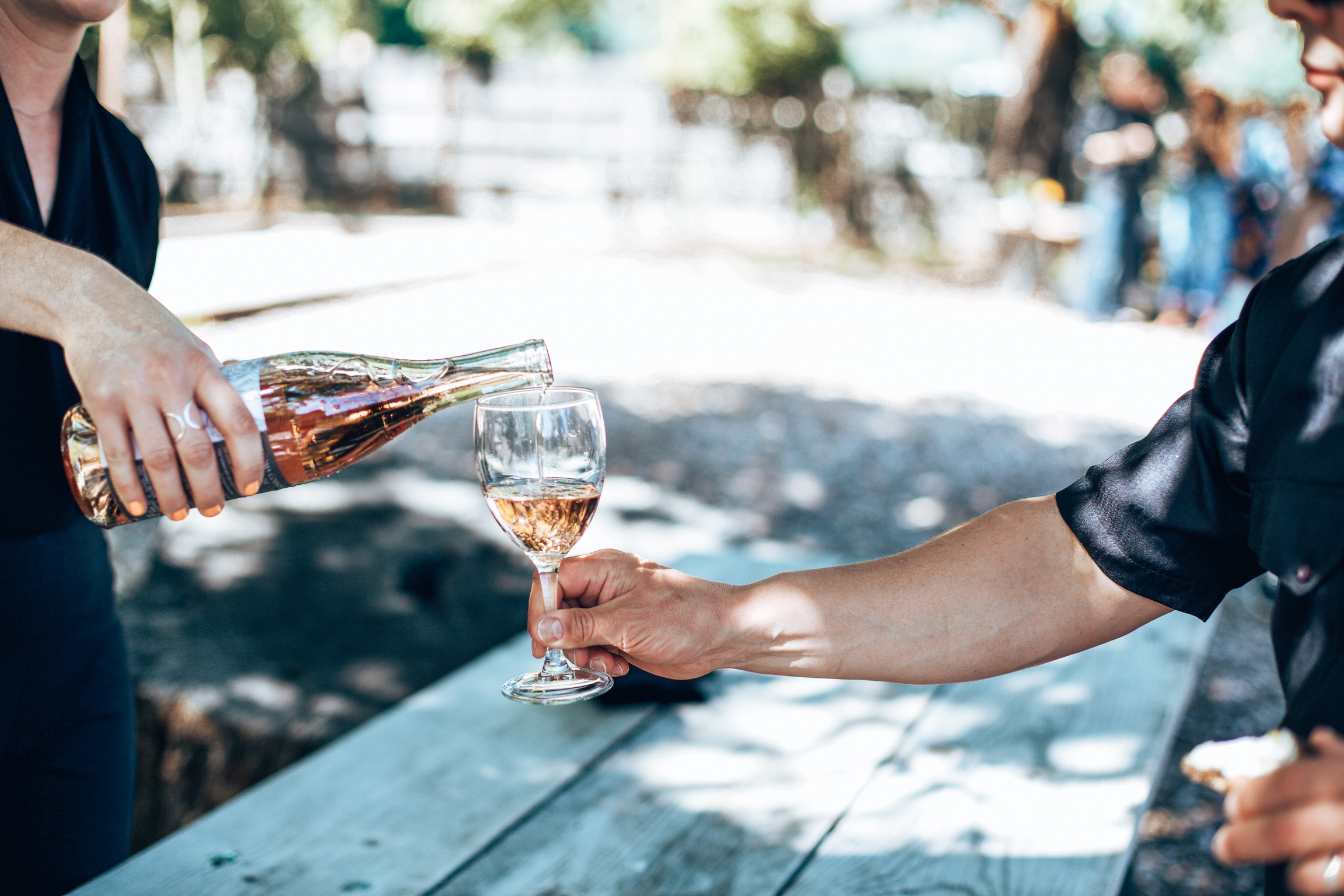 Guests enjoying wine during golden hour at Hamilton Family Wines.