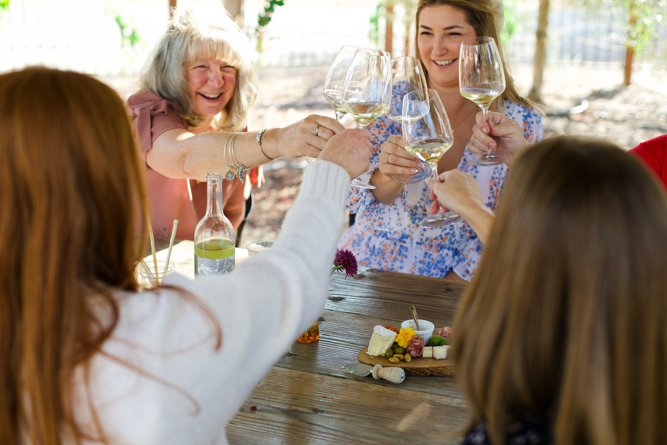 Golden Hour at Hamilton Family Wines in Kenwood