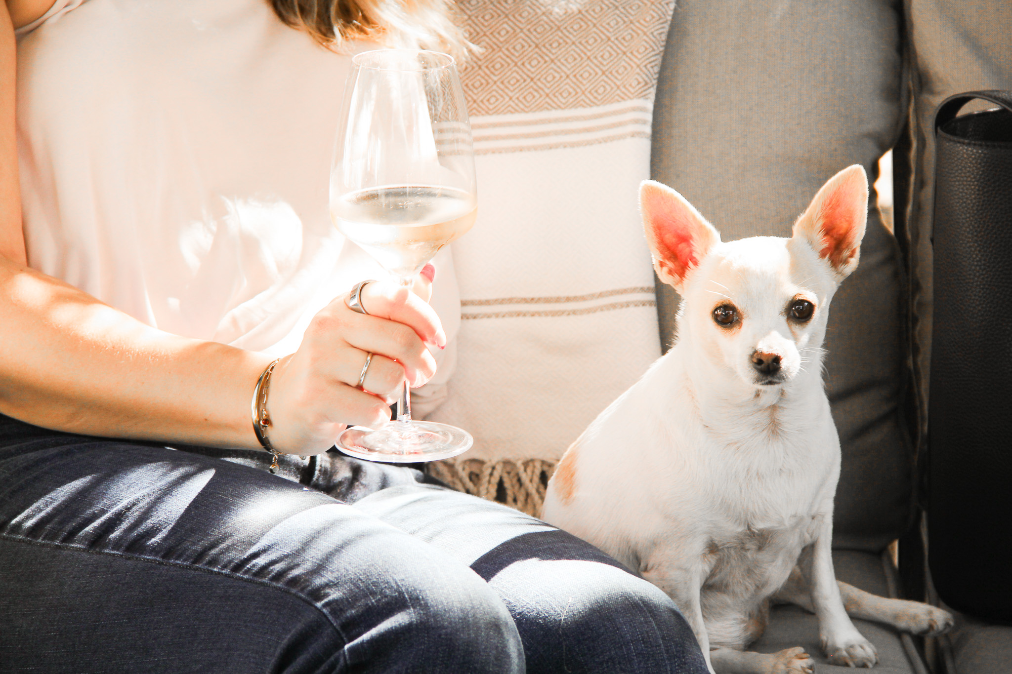 Golden Hour Dog-Friendly Wine Tasting