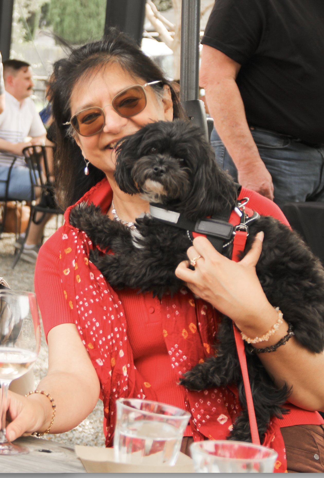 Guests enjoying wine at Hamilton Family Wines in Kenwood.