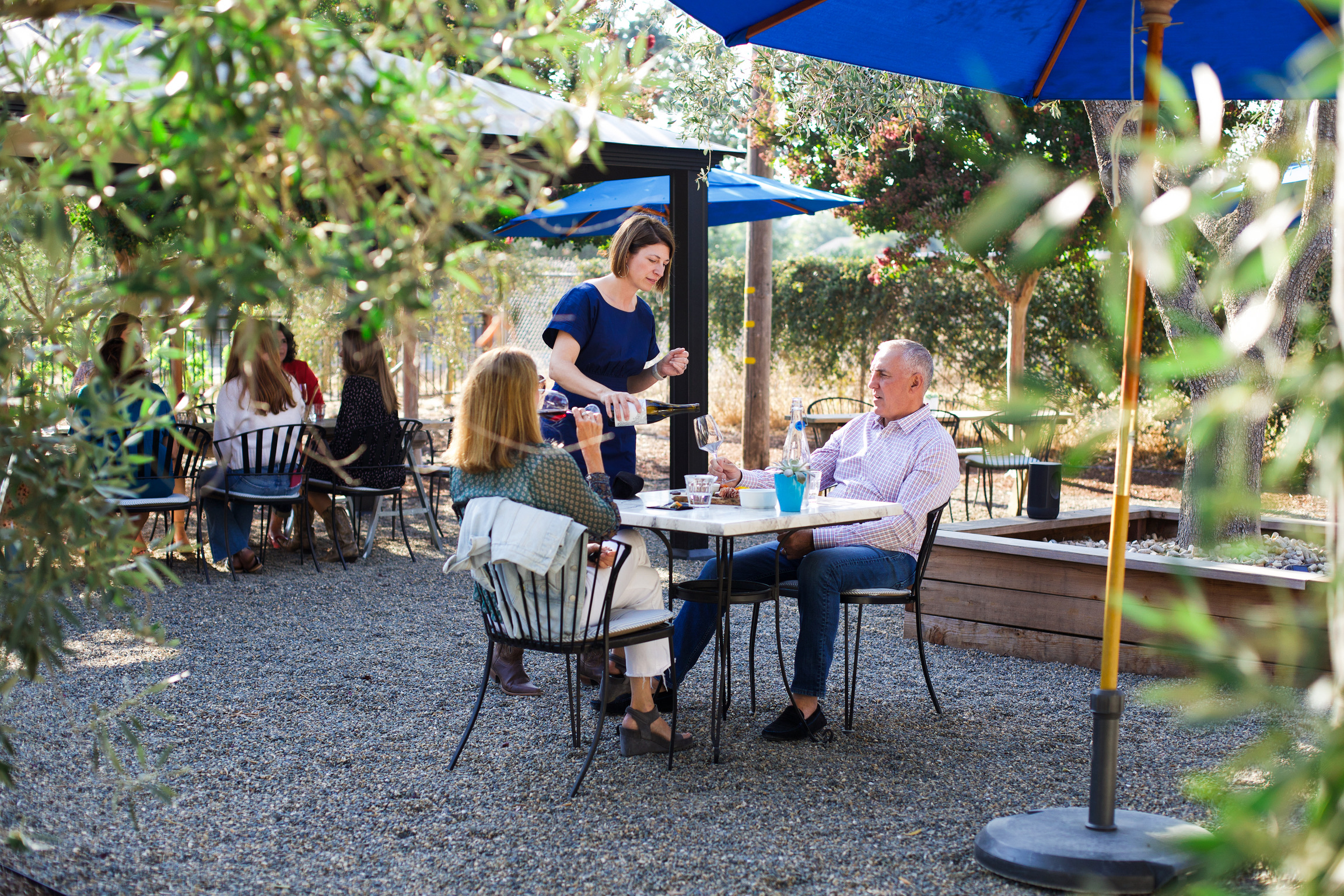 Guests enjoying a seated tasting at Hamilton Family Wines in Kenwood.