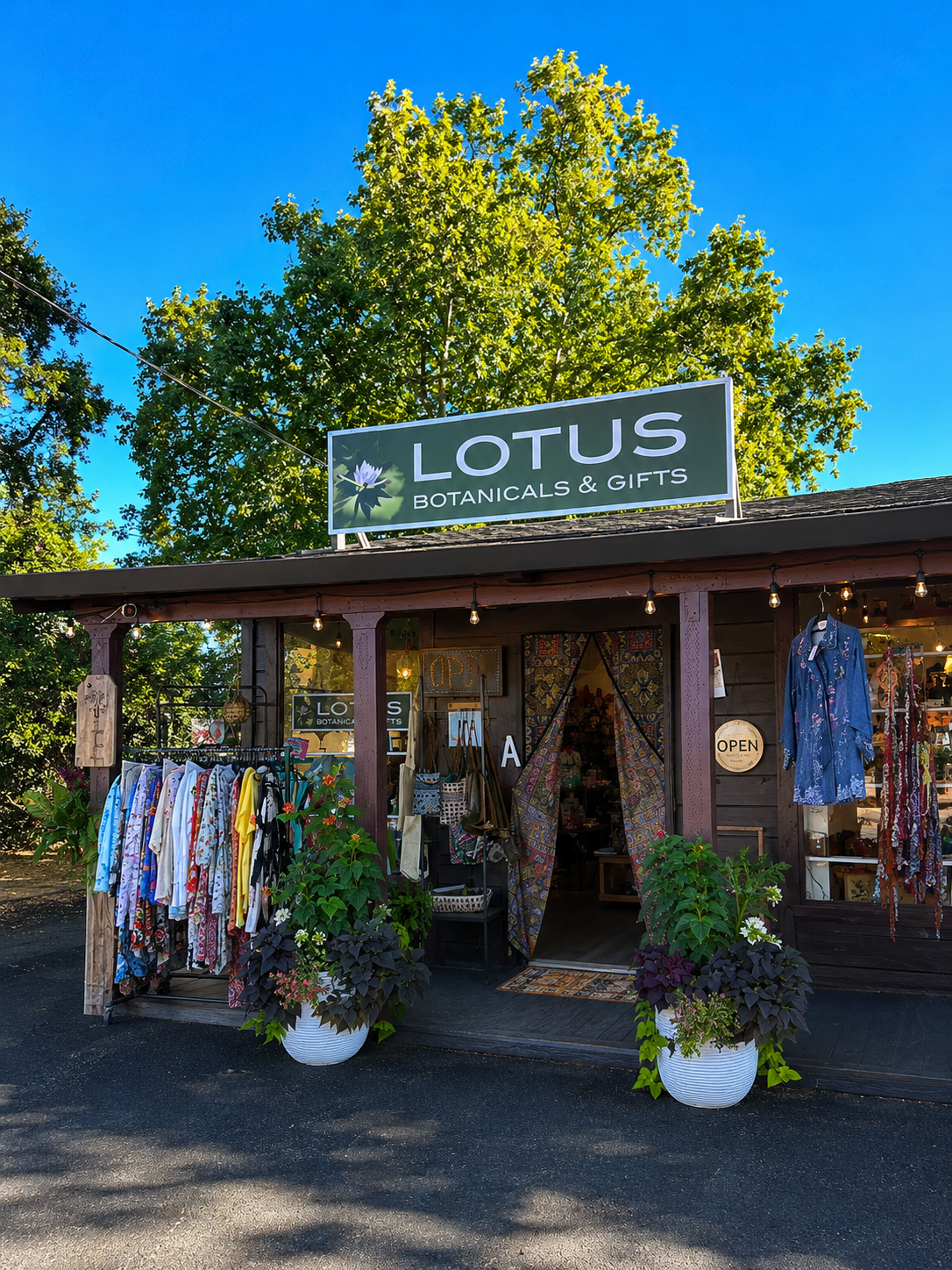 Local shops and browsing in Kenwood village.
