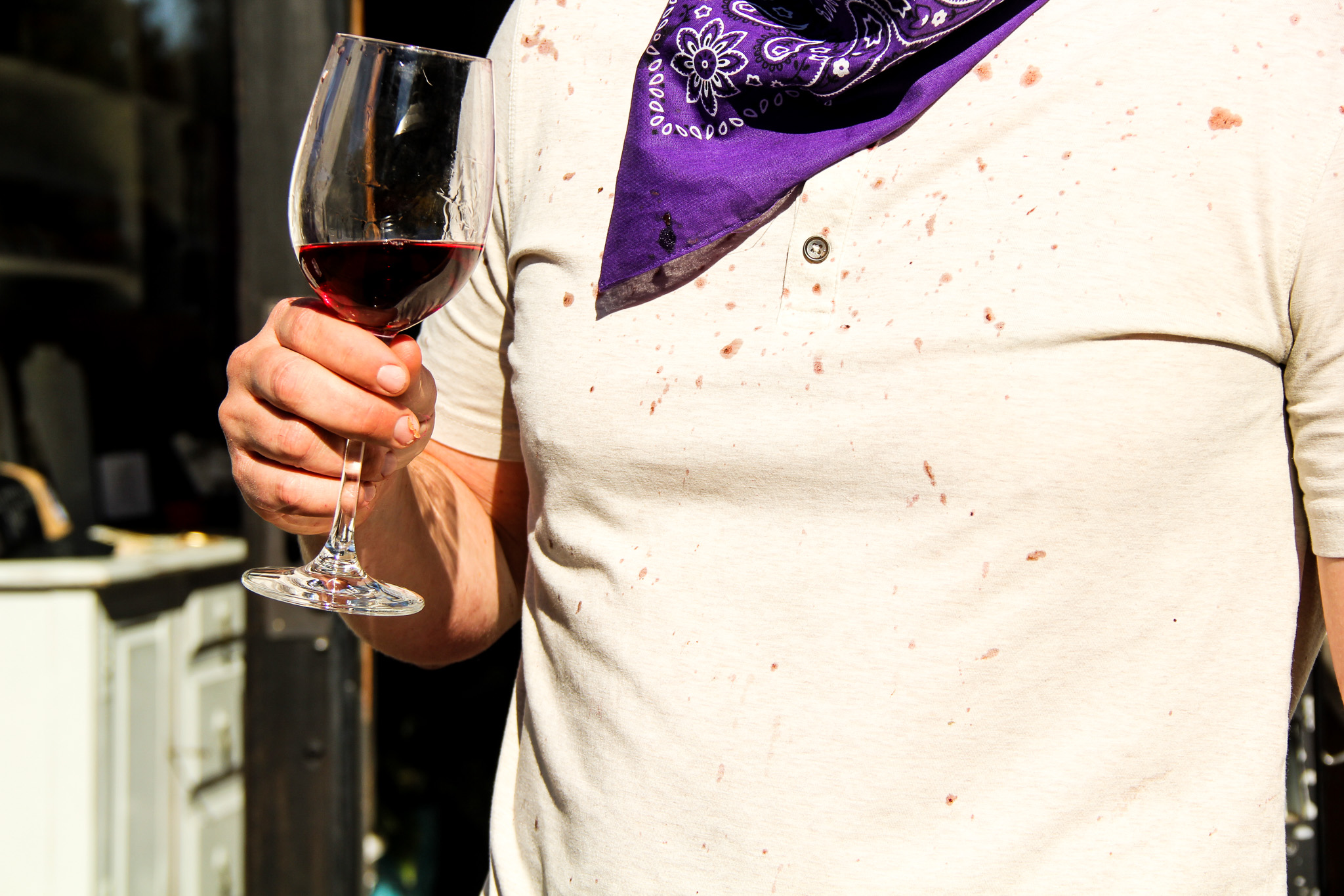 A grape-splattered guest holding a glass of Hamilton red wine after a private grape stomp.