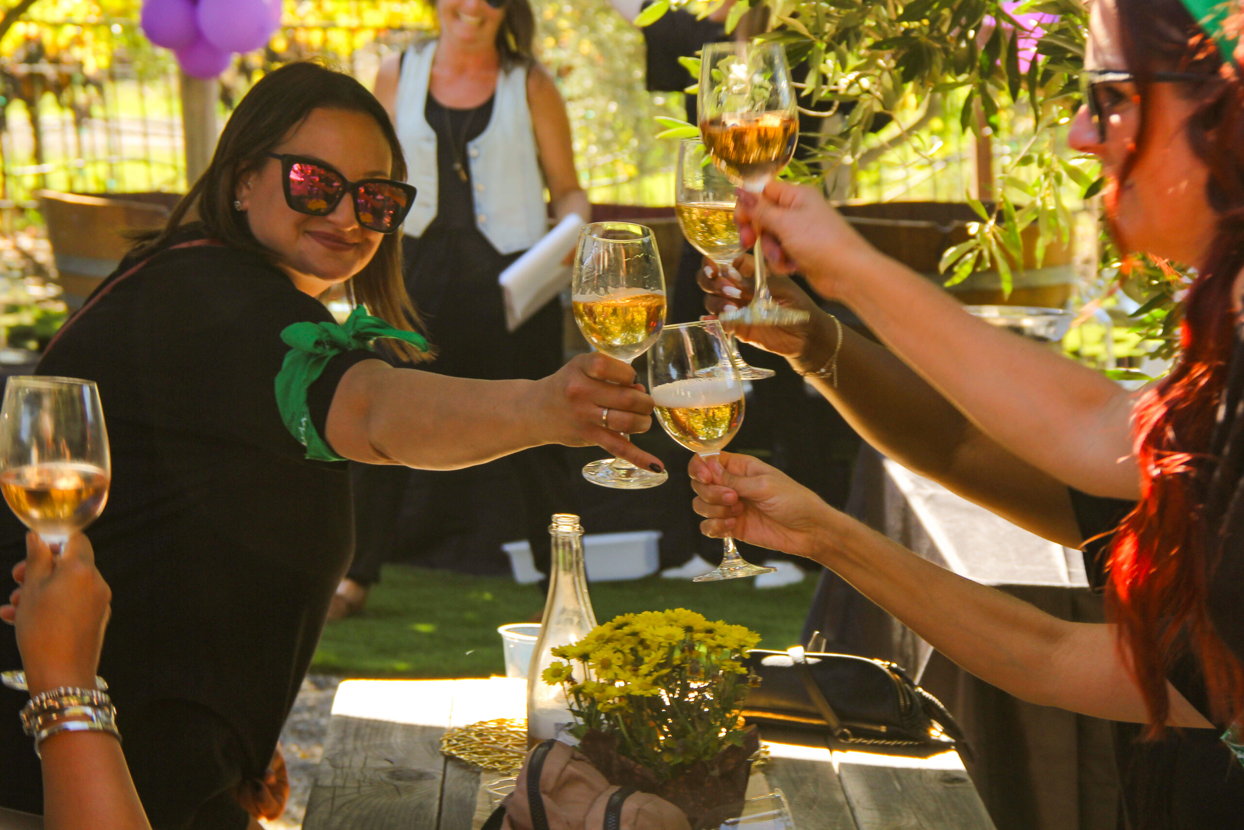 Guests raising glasses together at Hamilton Family Wines in Kenwood.